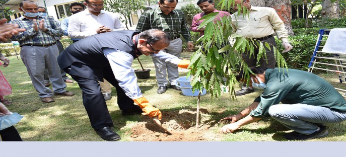 <p><span style="color: rgb(128, 0, 0); font-size: 12px;"><strong>Tree plantation by Dir, ISTM on 21st May 2024 during Swachhata Pakhwada 16th to 31st May 2024</strong></span></p>